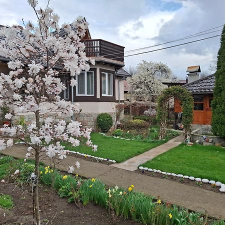 Casa Fetic Apartment Nehoiu Luaran gambar