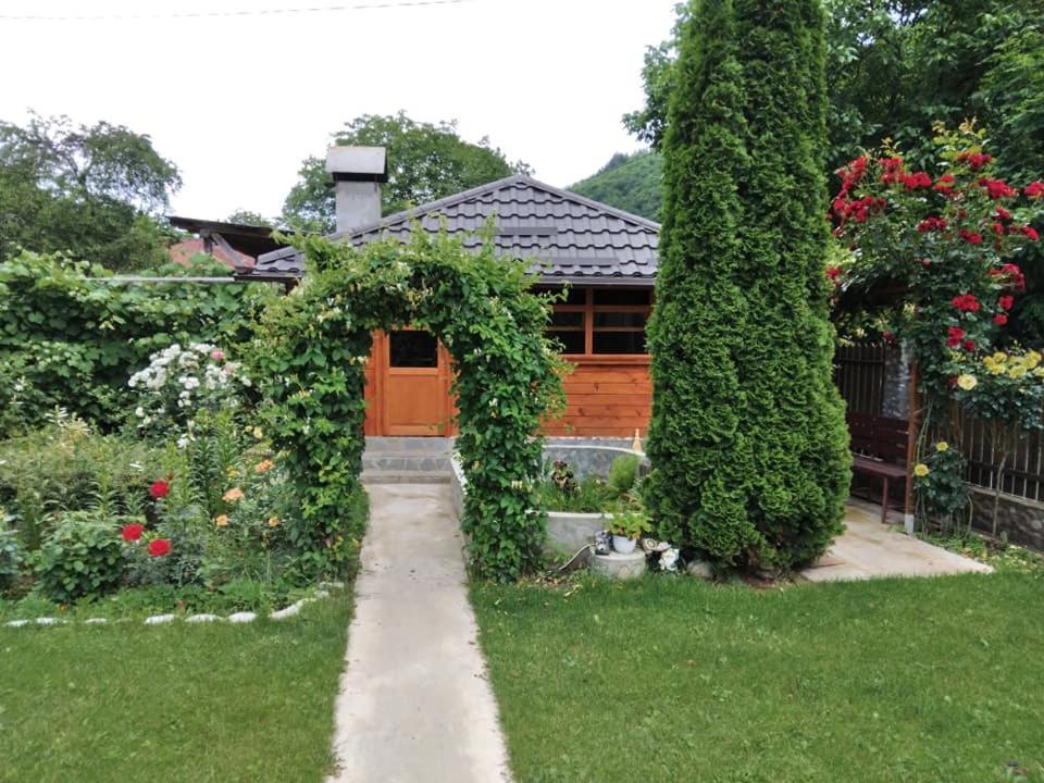 Casa Fetic Apartment Nehoiu Luaran gambar