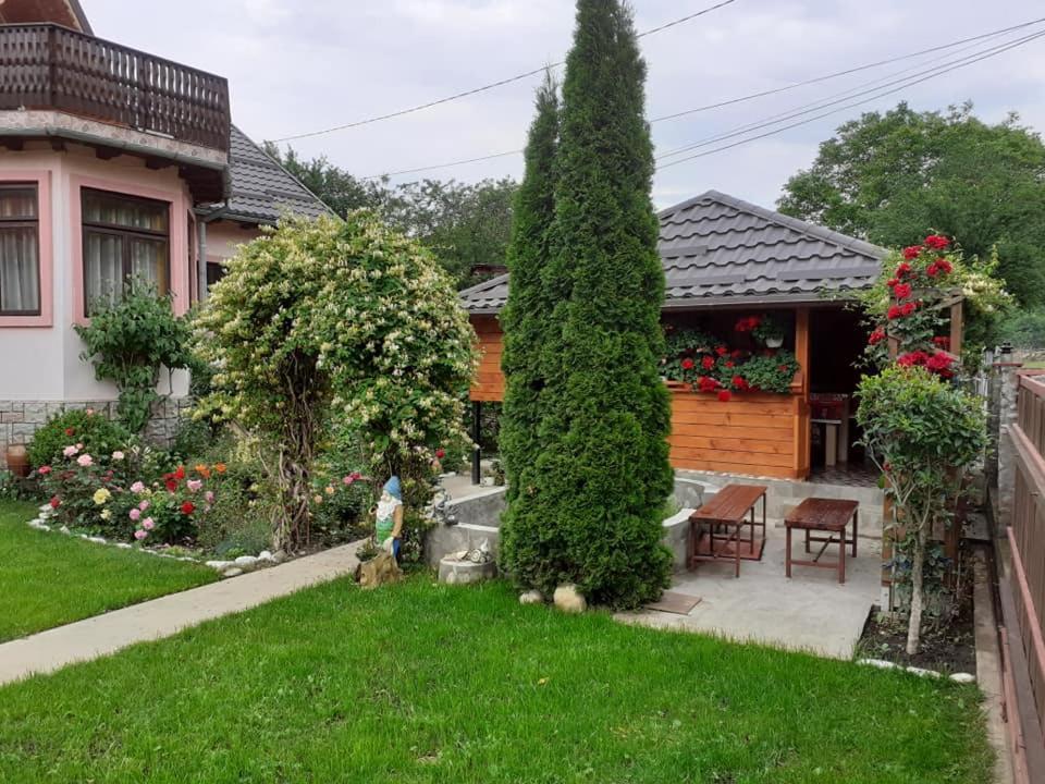 Casa Fetic Apartment Nehoiu Luaran gambar