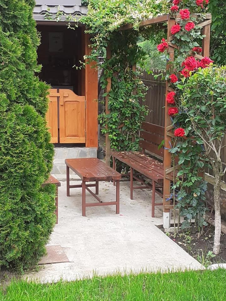 Casa Fetic Apartment Nehoiu Luaran gambar