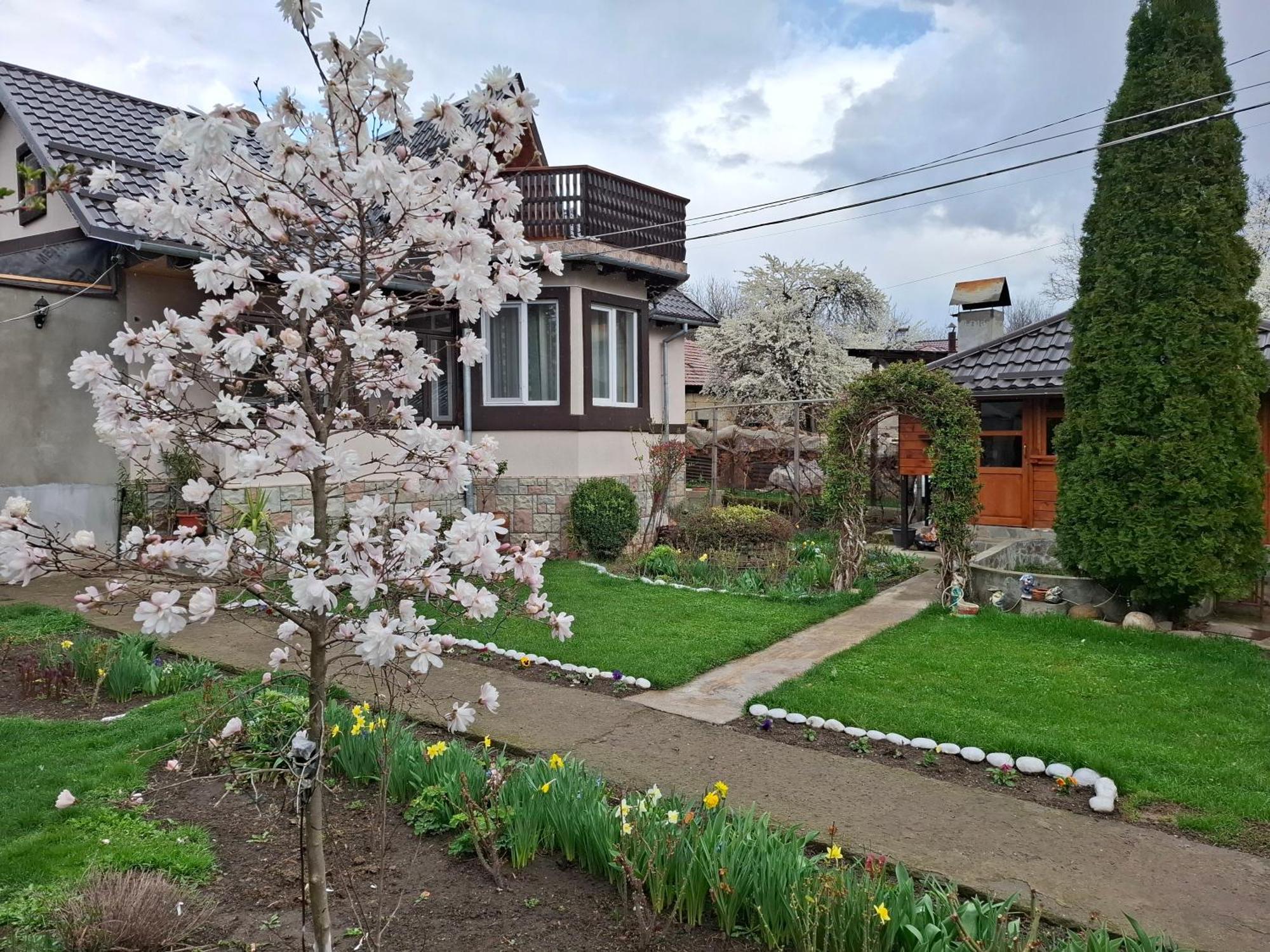 Casa Fetic Apartment Nehoiu Luaran gambar
