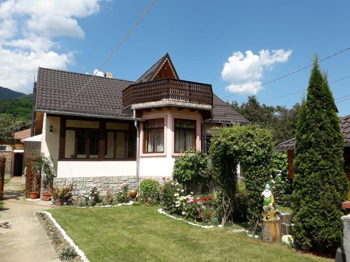 Casa Fetic Apartment Nehoiu Luaran gambar
