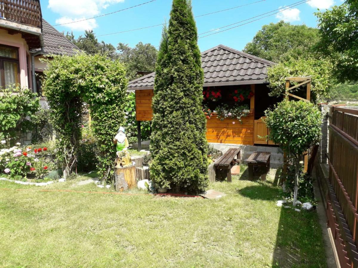 Casa Fetic Apartment Nehoiu Luaran gambar