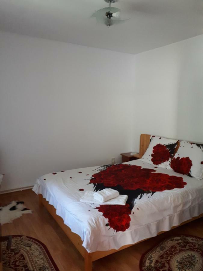 Casa Fetic Apartment Nehoiu Luaran gambar