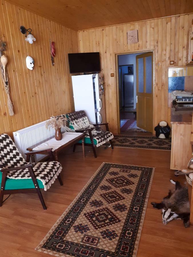 Casa Fetic Apartment Nehoiu Luaran gambar