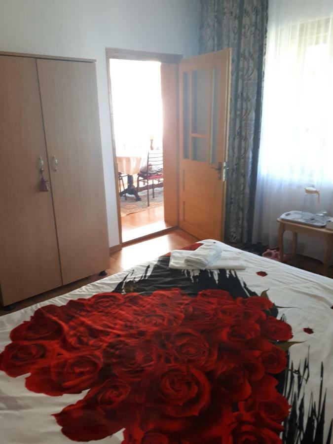 Casa Fetic Apartment Nehoiu Luaran gambar