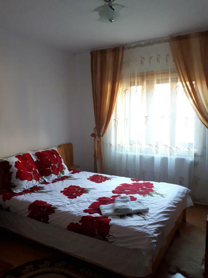 Casa Fetic Apartment Nehoiu Luaran gambar