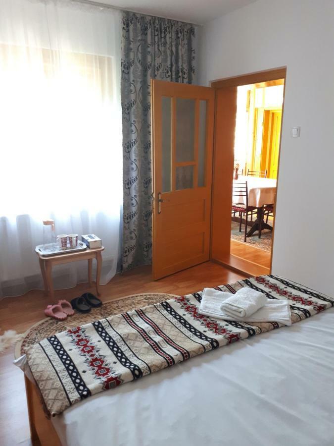 Casa Fetic Apartment Nehoiu Luaran gambar